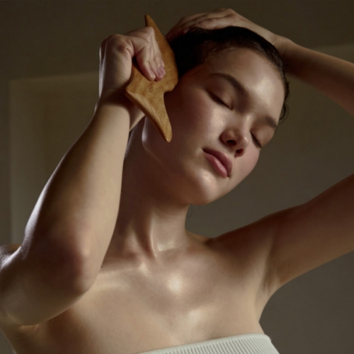 Aromatica Dolphin Massager (L size)