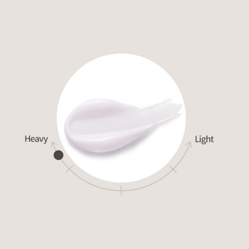 Nature Republic Herbology Onion Recovery Cream 70ml