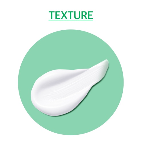 Nature Republic green Derma Mild Cica Big Sun Cushion 25g