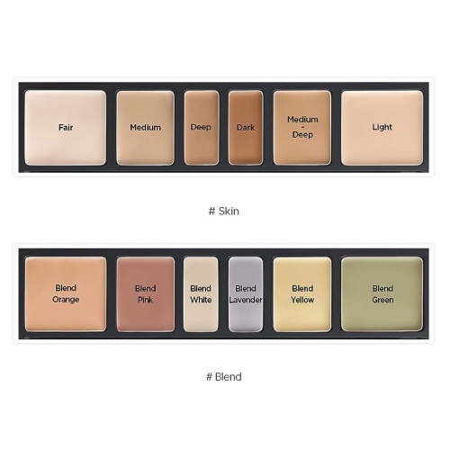 JUNGSAEMMOOL Artist Concealer Palette 6.6g (2colors)