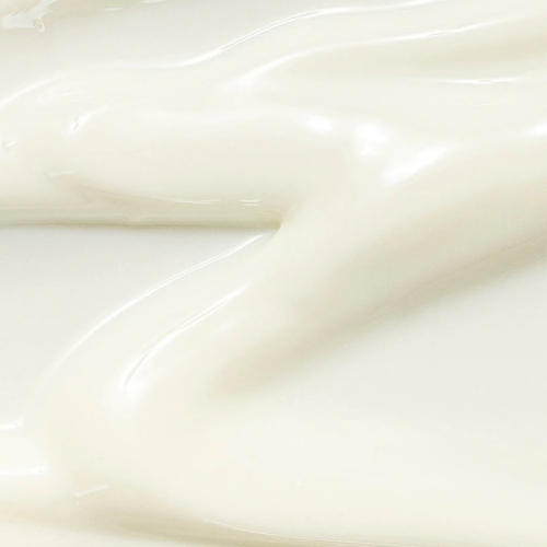 Beauty of Joseon Relief Sun : Rice + Probiotics 50mL