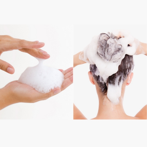 Pyunkang Yul Low pH Scalp Shampoo 500ml