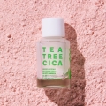 Nature Republic green Derma Tea Tree Cica Spot Powder 15ml
