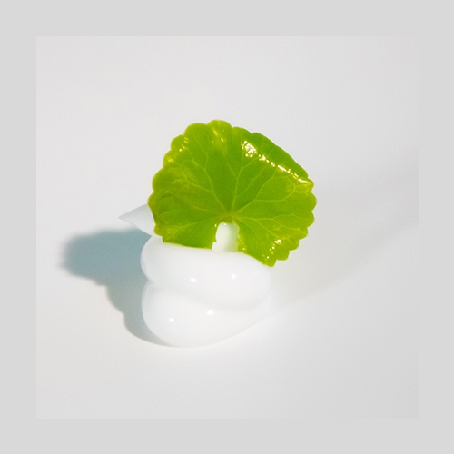 Farmstay Cica farm Daily Relief Cream 300ml