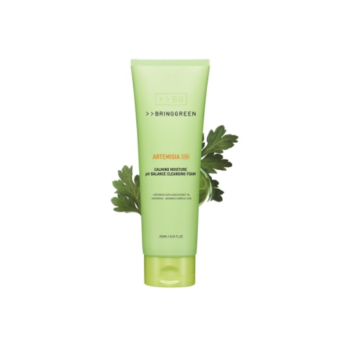 BRINGGREEN Artemisia Cera Calming Moisture PH Balance Cleansing Foam 200ml