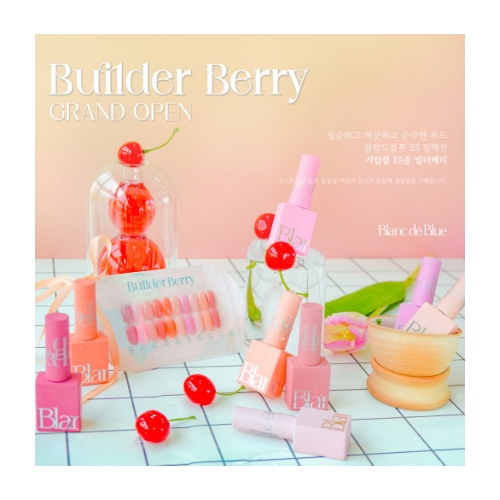 Bulider Berry 10pcs Set