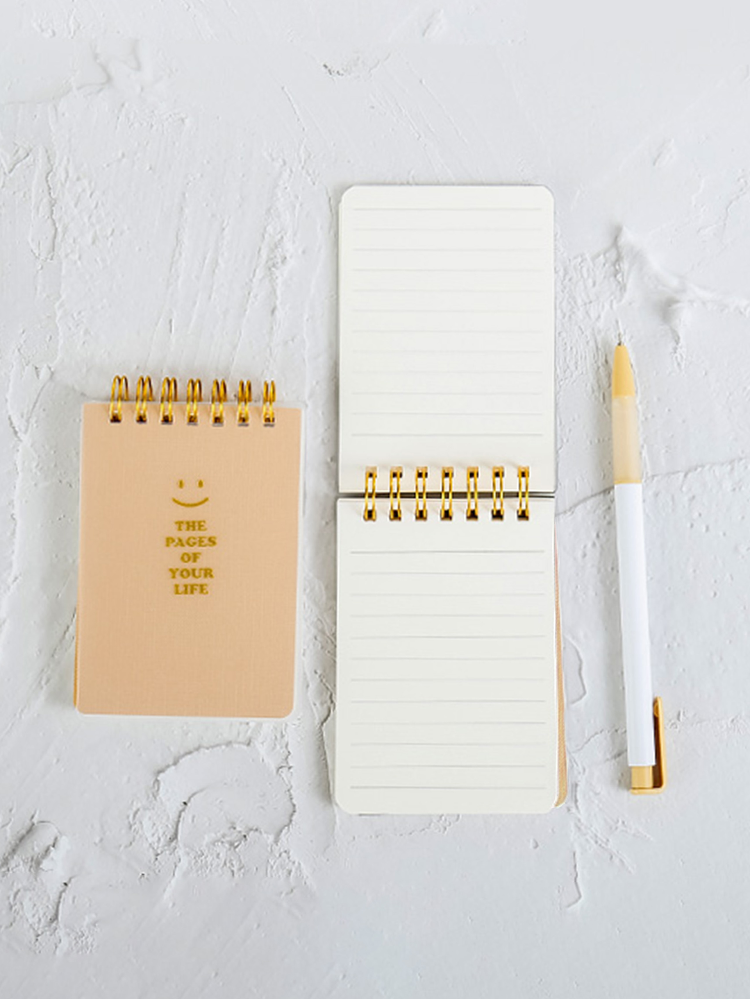 DAISO PP cover wired notebook (2 volumes x 80 sheets)