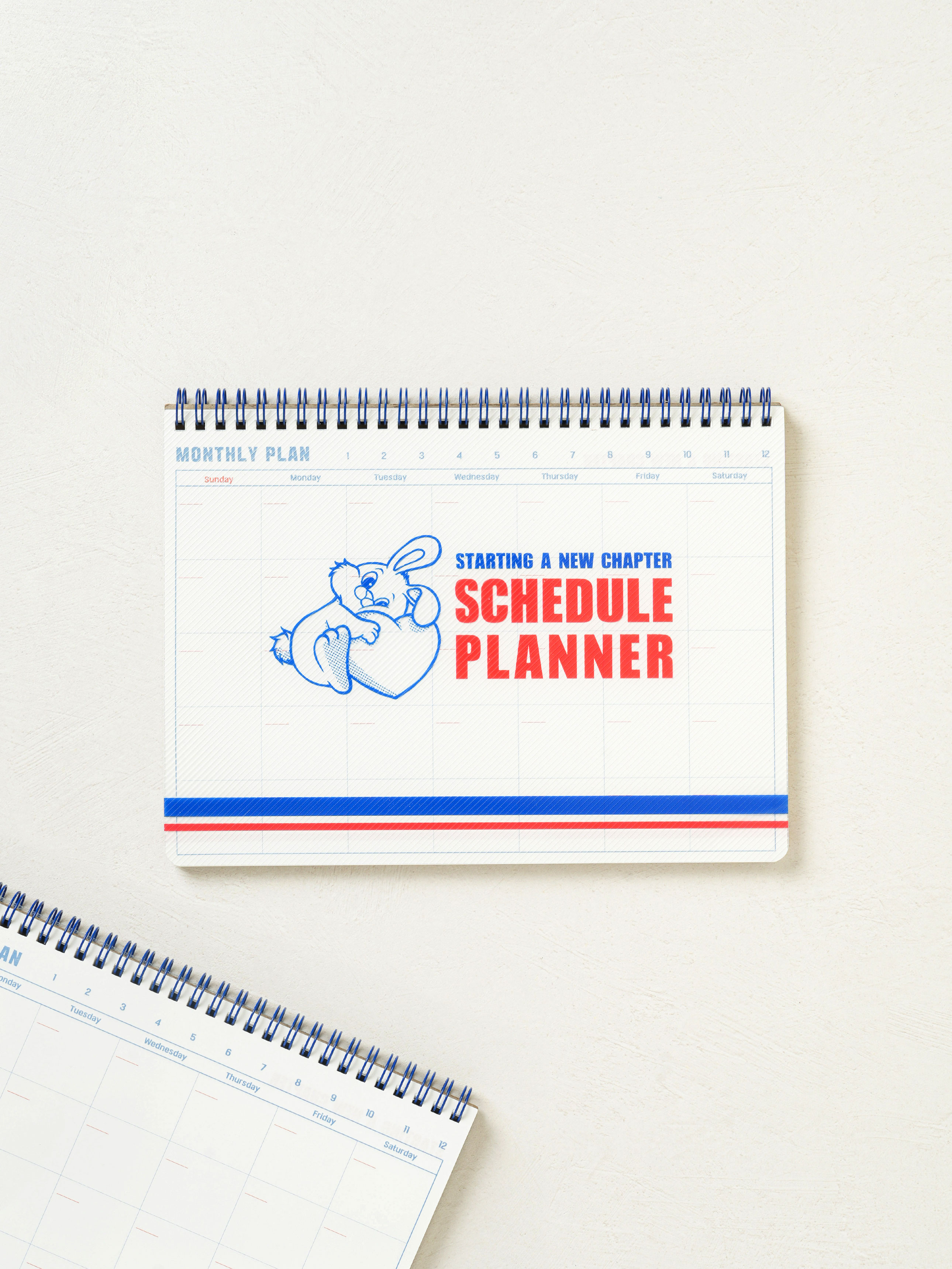 DAISO Monthly Scheduler (60 sheets)