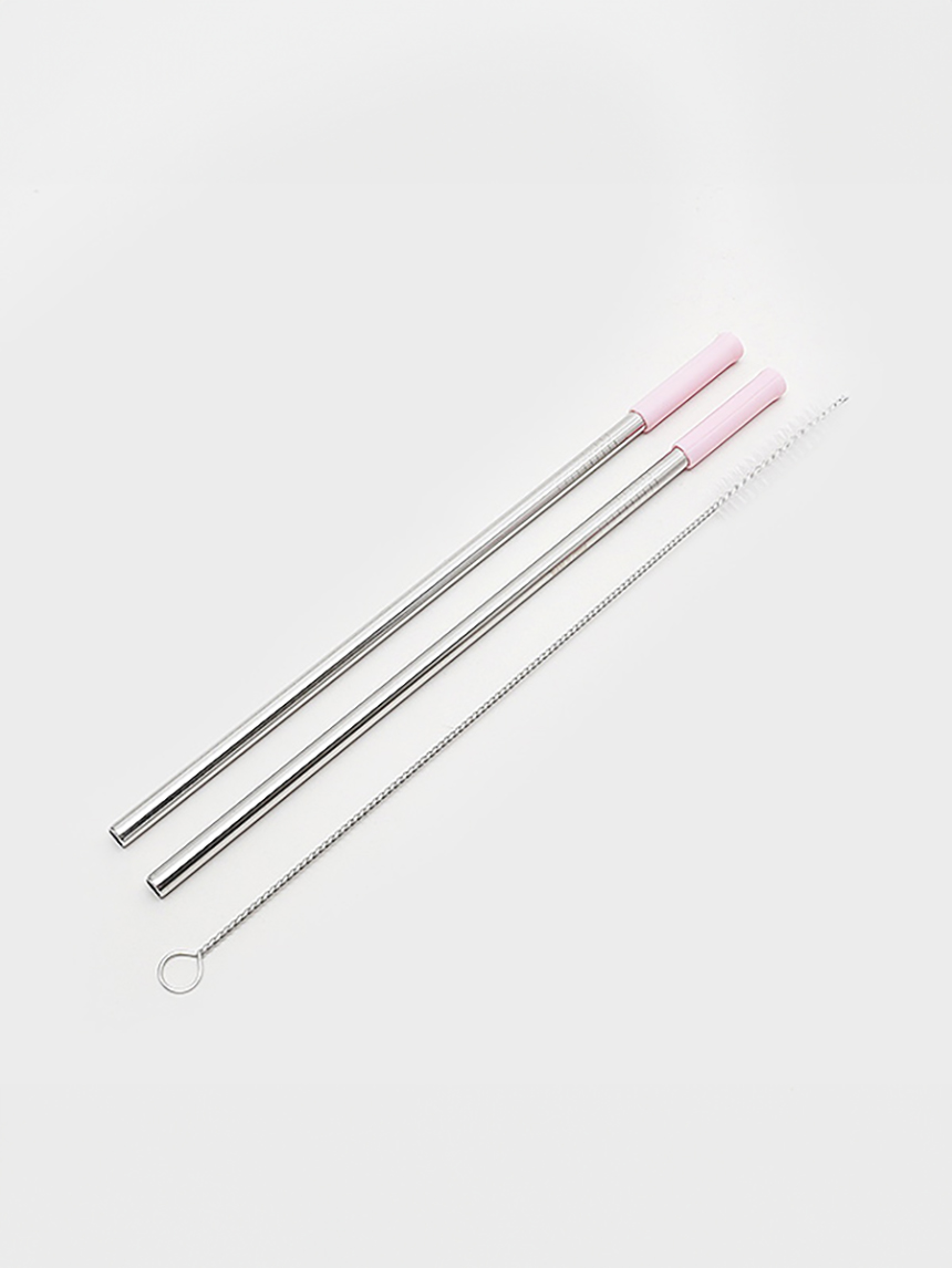 DAISO BH All-Stainless Steel Basic Straw & Cleaning Brush (2P/SET)