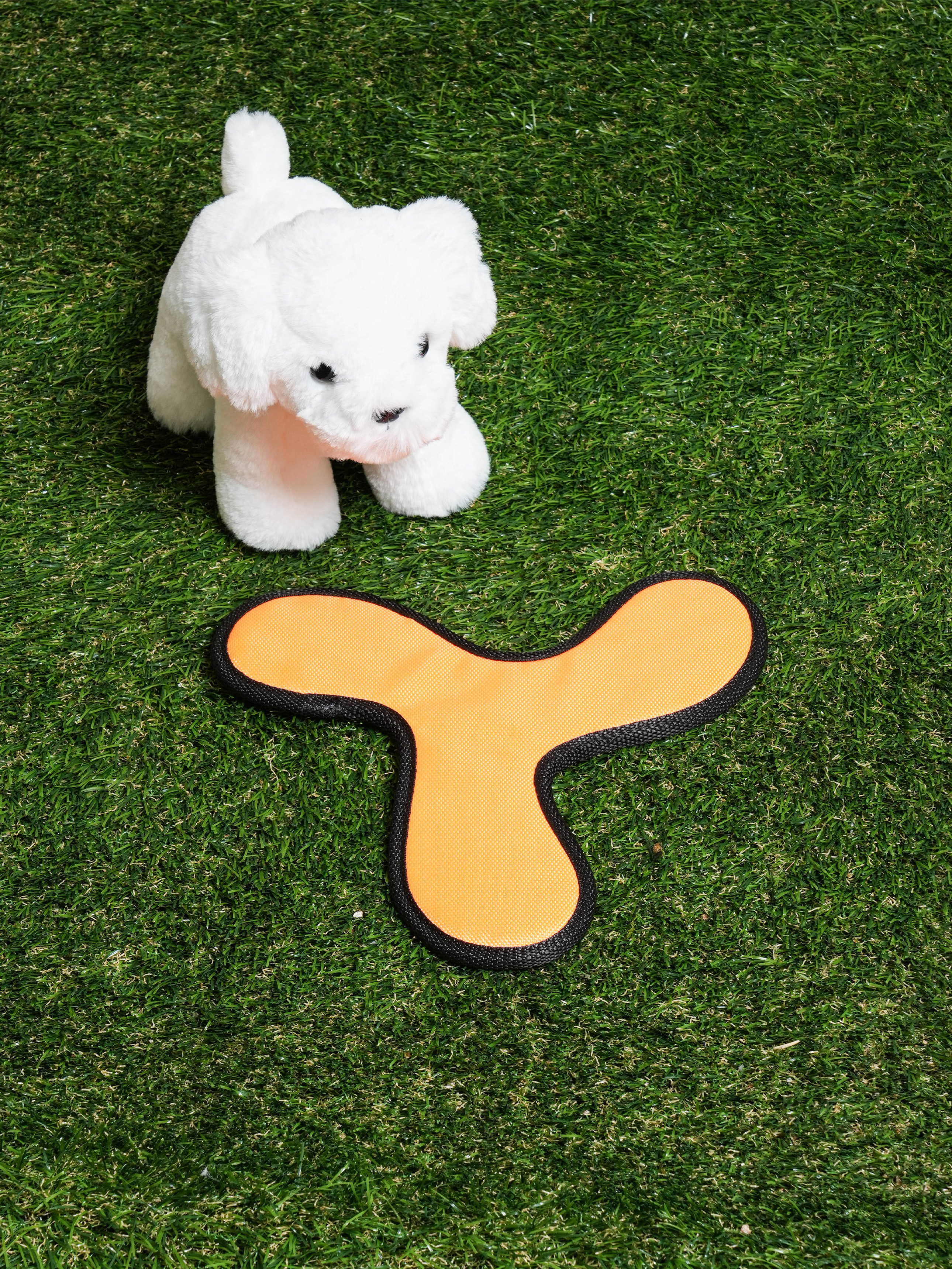 DAISO pet boomerang toy