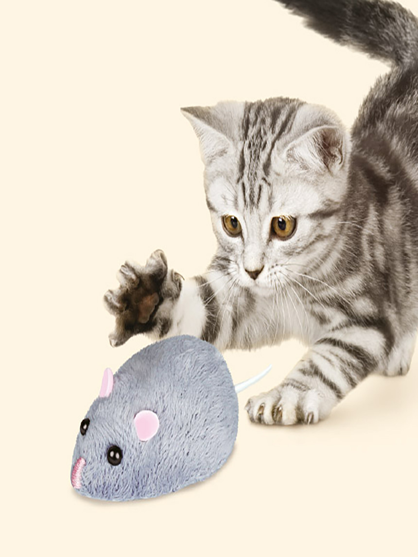 DAISO Electric remote control mouse for cats