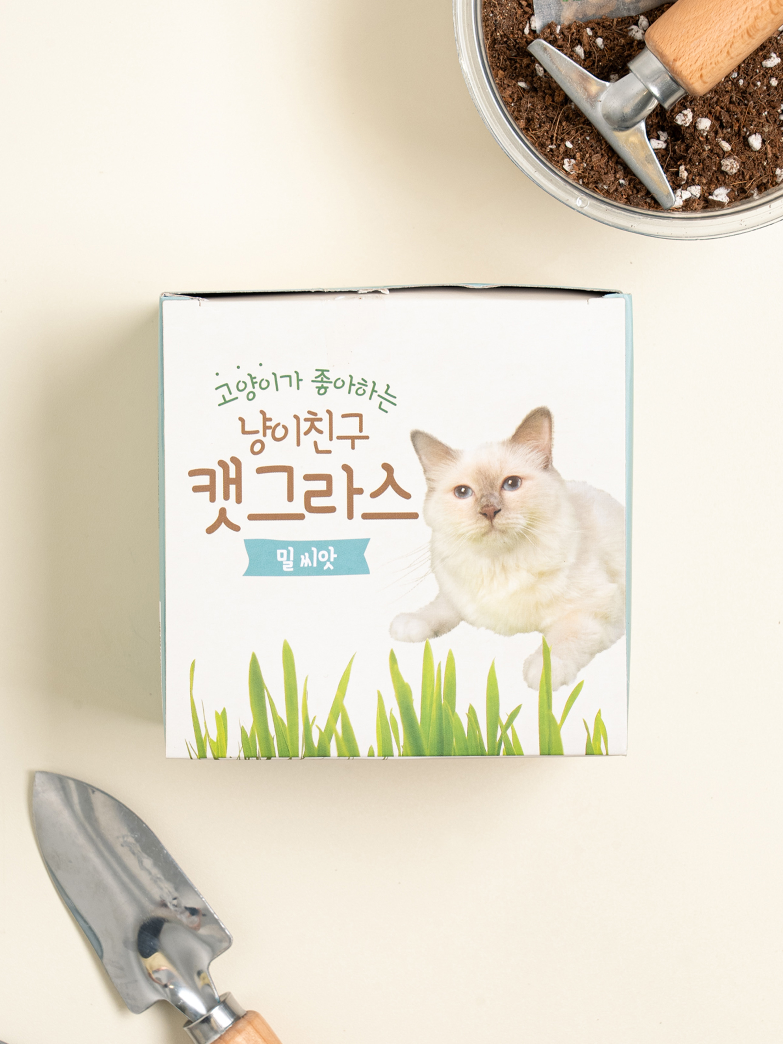 DAISO [Pet Food]COOM Cat Friend Cat Grass - Wheat Seeds