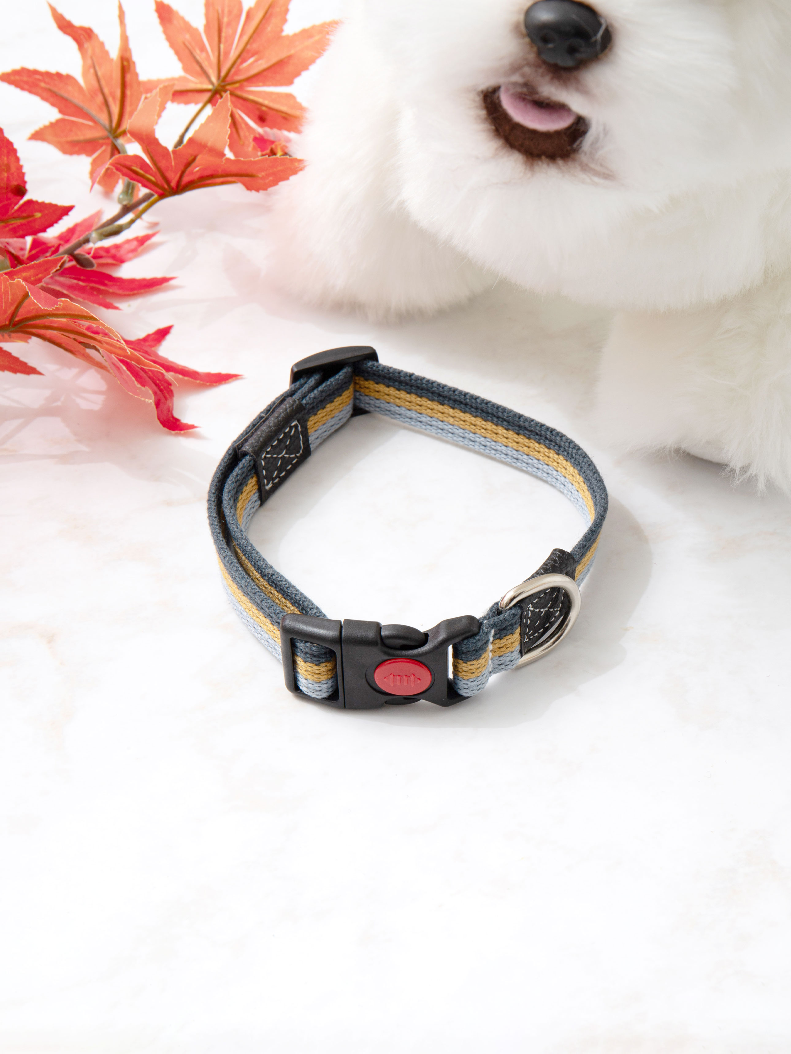 DAISO Pet tricolor leash (Breadth 2cm)