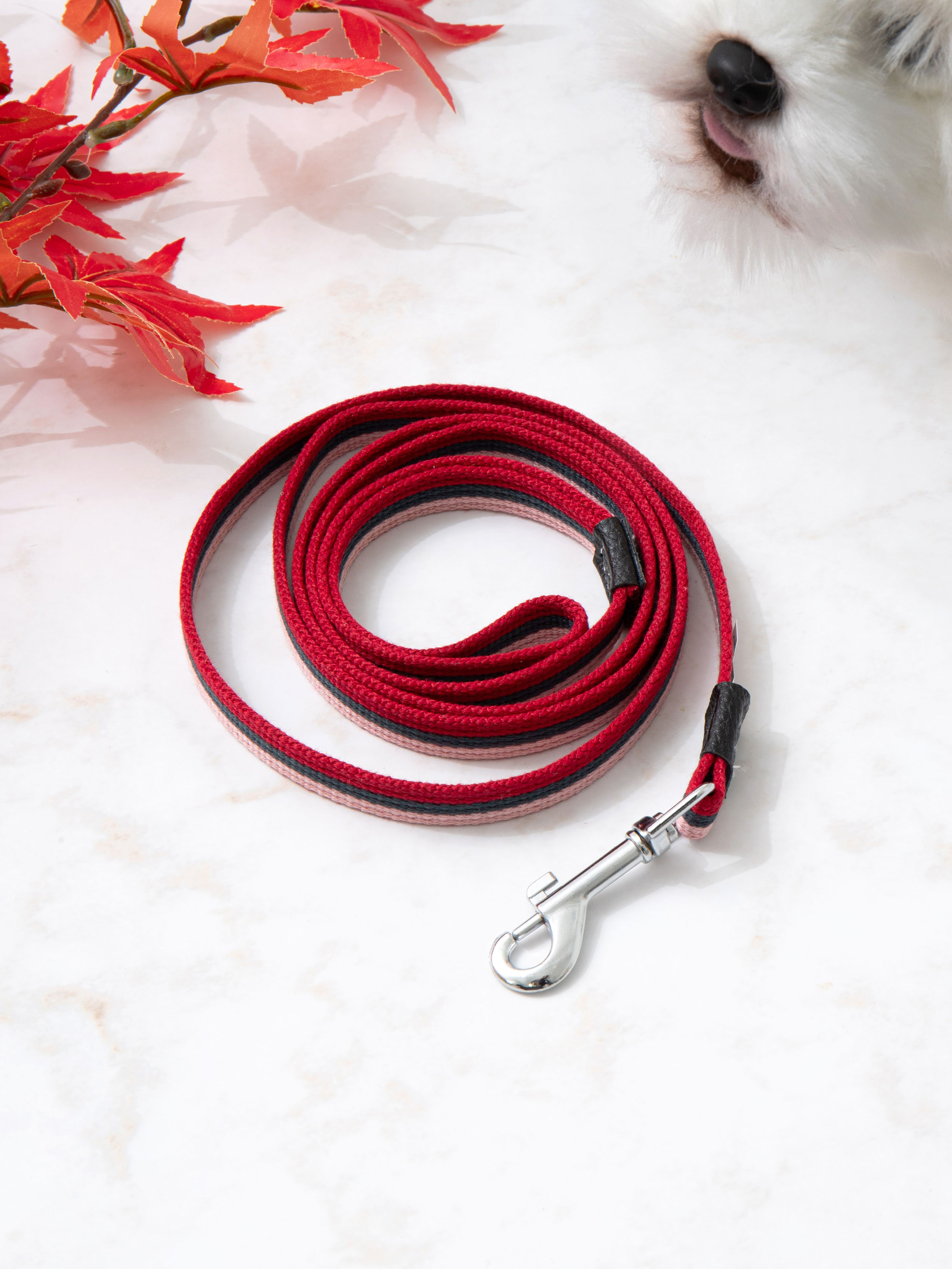 DAISO Pet tricolor leash (1.5*150cm)