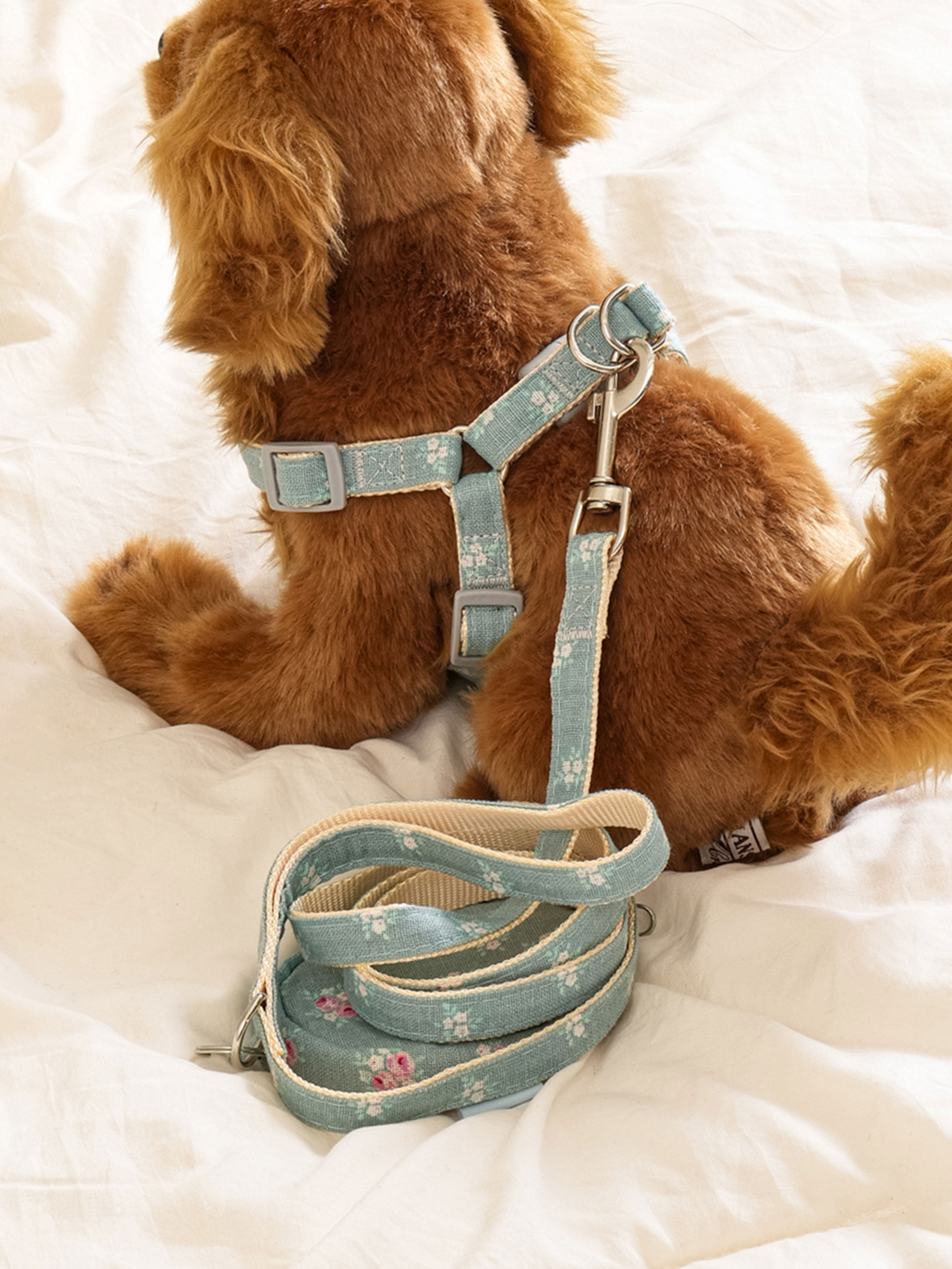 DAISO Pet Pouch Lead Harness Set