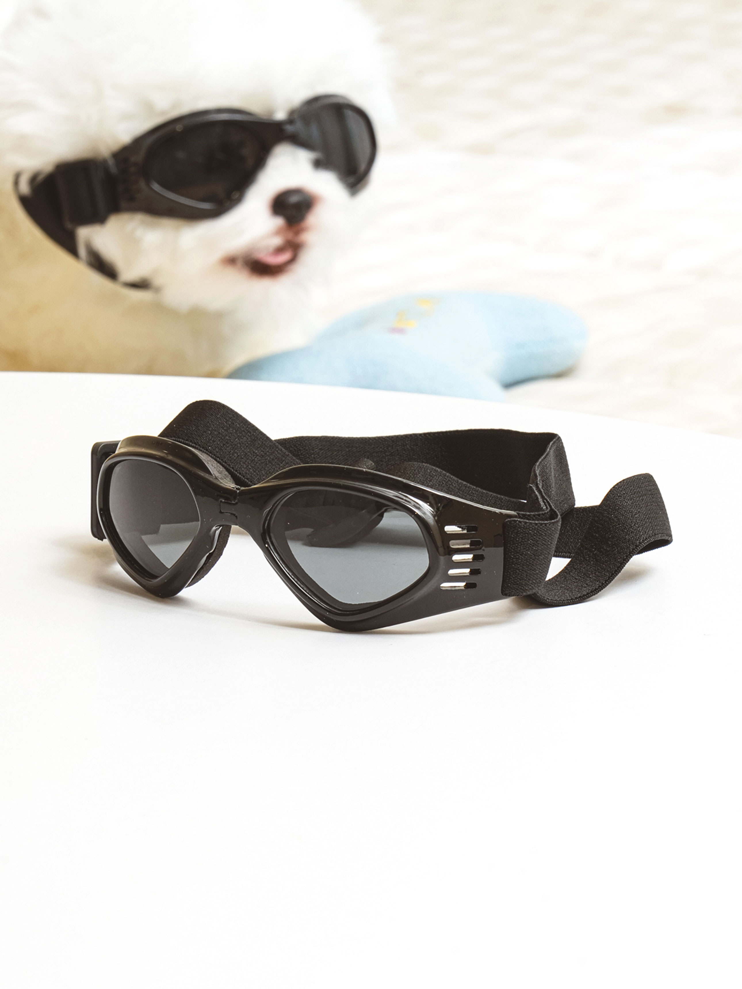 DAISO pet_folding goggles