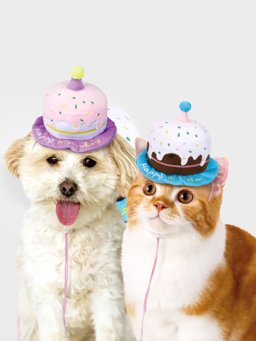 DAISO Pet Birthday Party Cake Hat