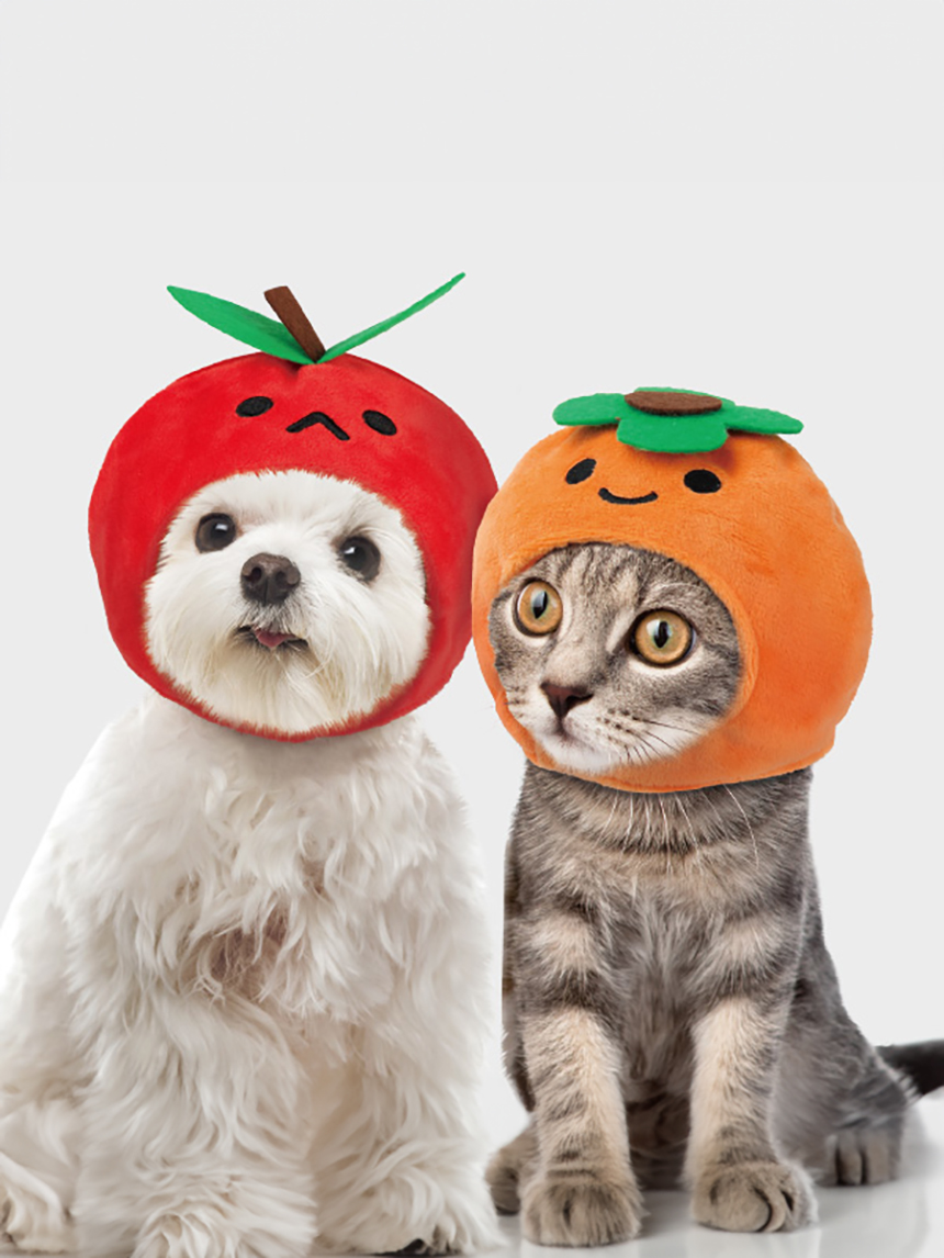 DAISO Pet fruit character hat (apple, persimmon)