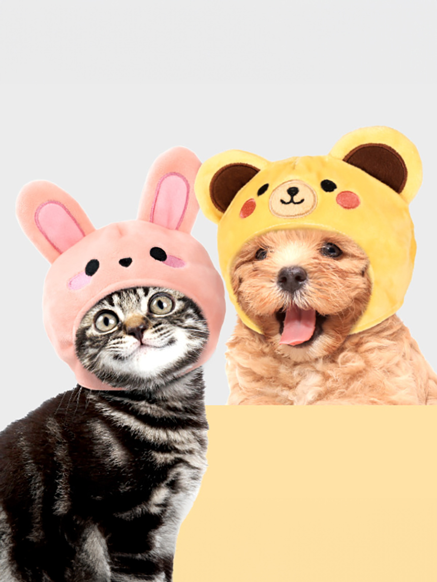 DAISO Pet animal character hat (rabbit, bear)