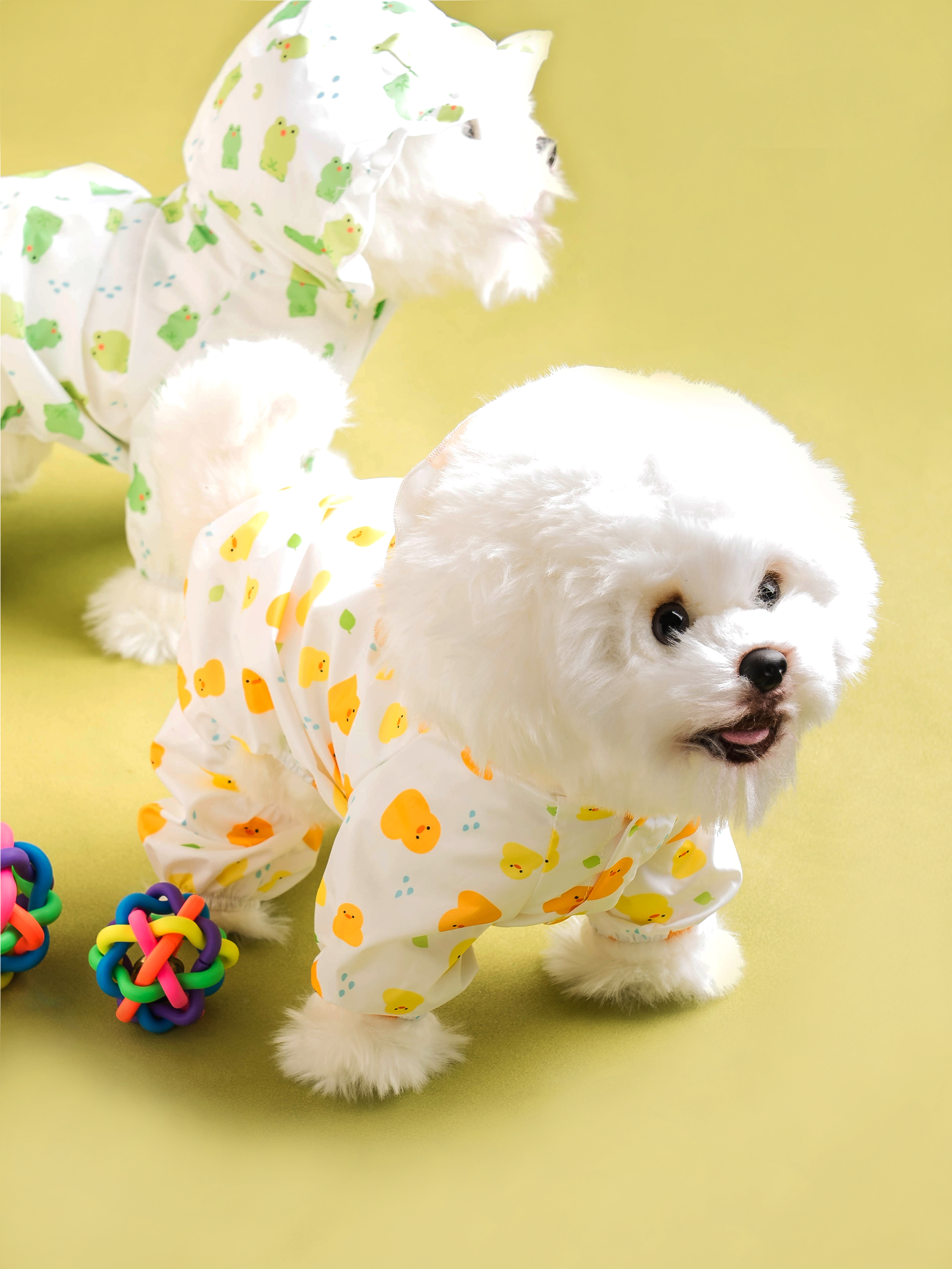 DAISO Pet_All-in-One Raincoat L