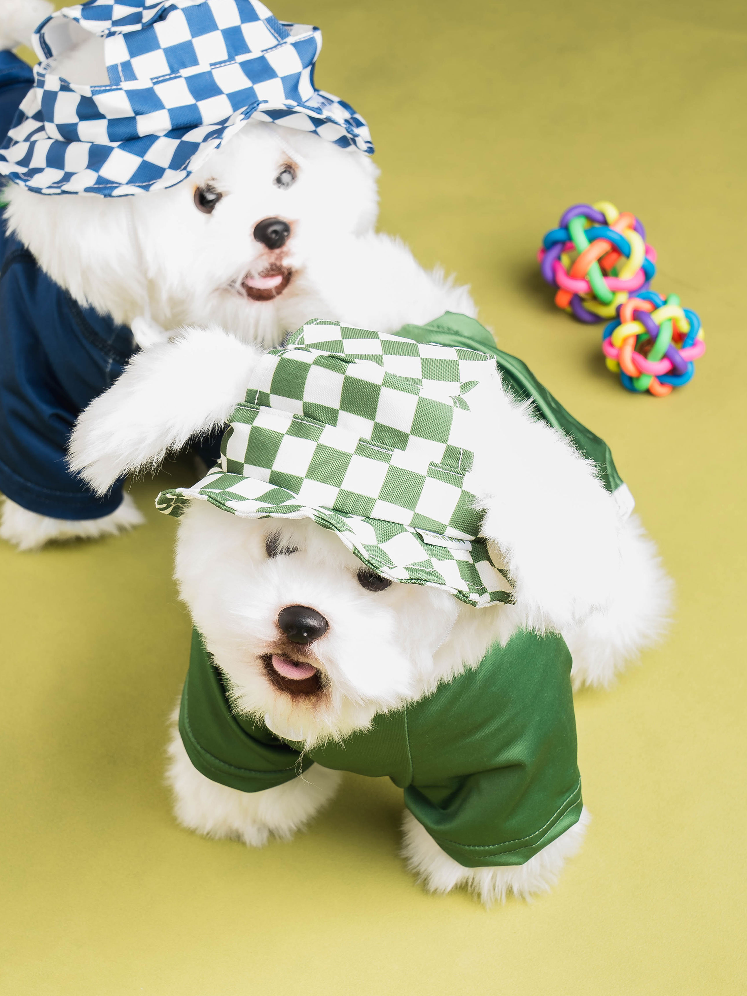 DAISO Pet_pattern bucket hat m