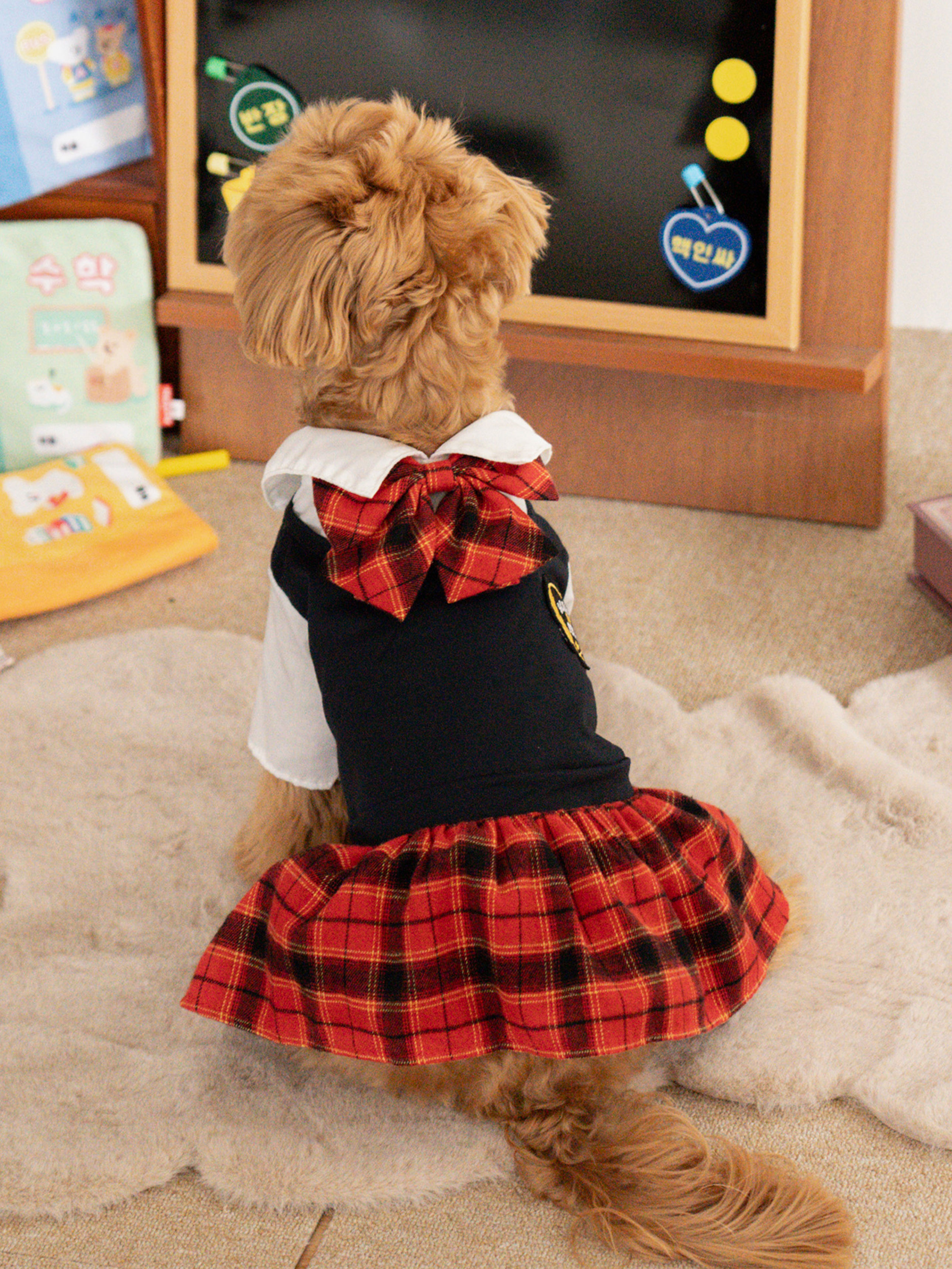 DAISO Pet_One Piece School Uniform L