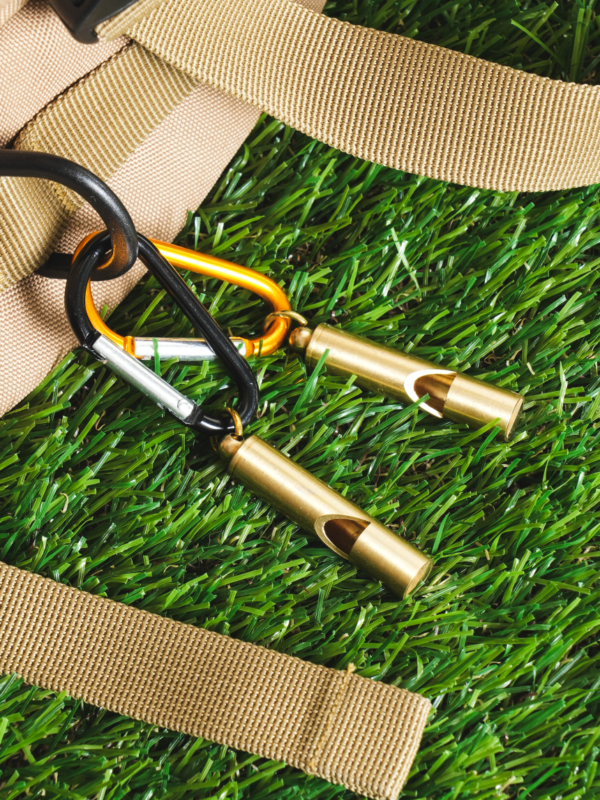 DAISO Carabiner Multitool (Whistle)