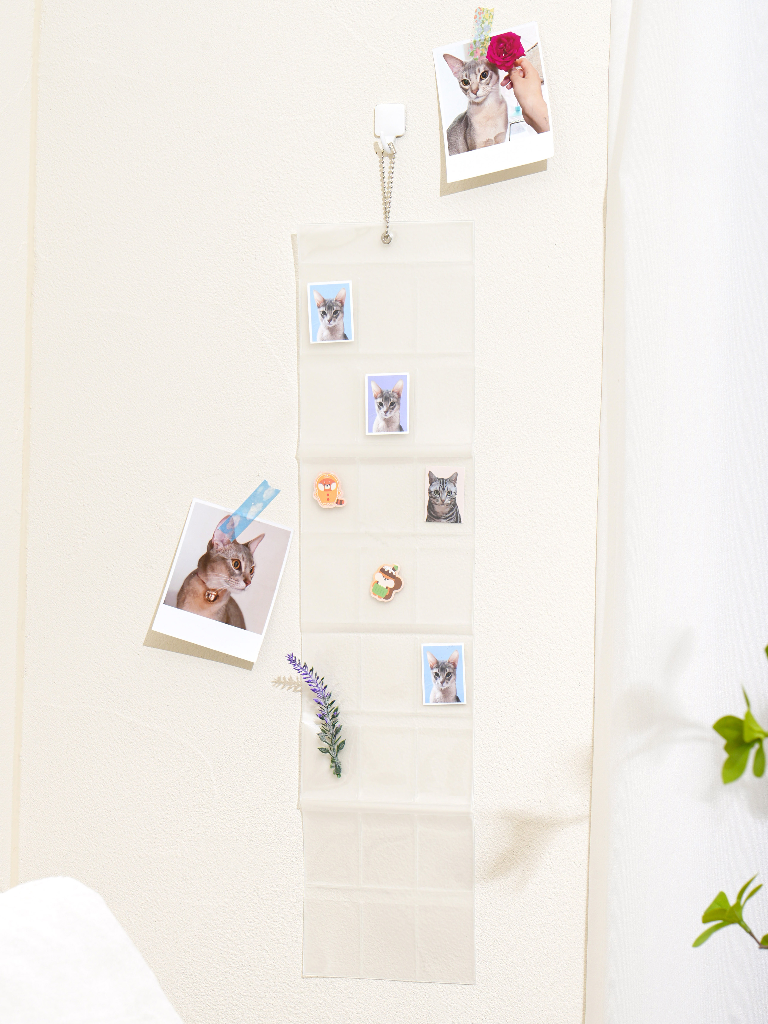 DAISO Collect_ID Photo Album (24 spaces)