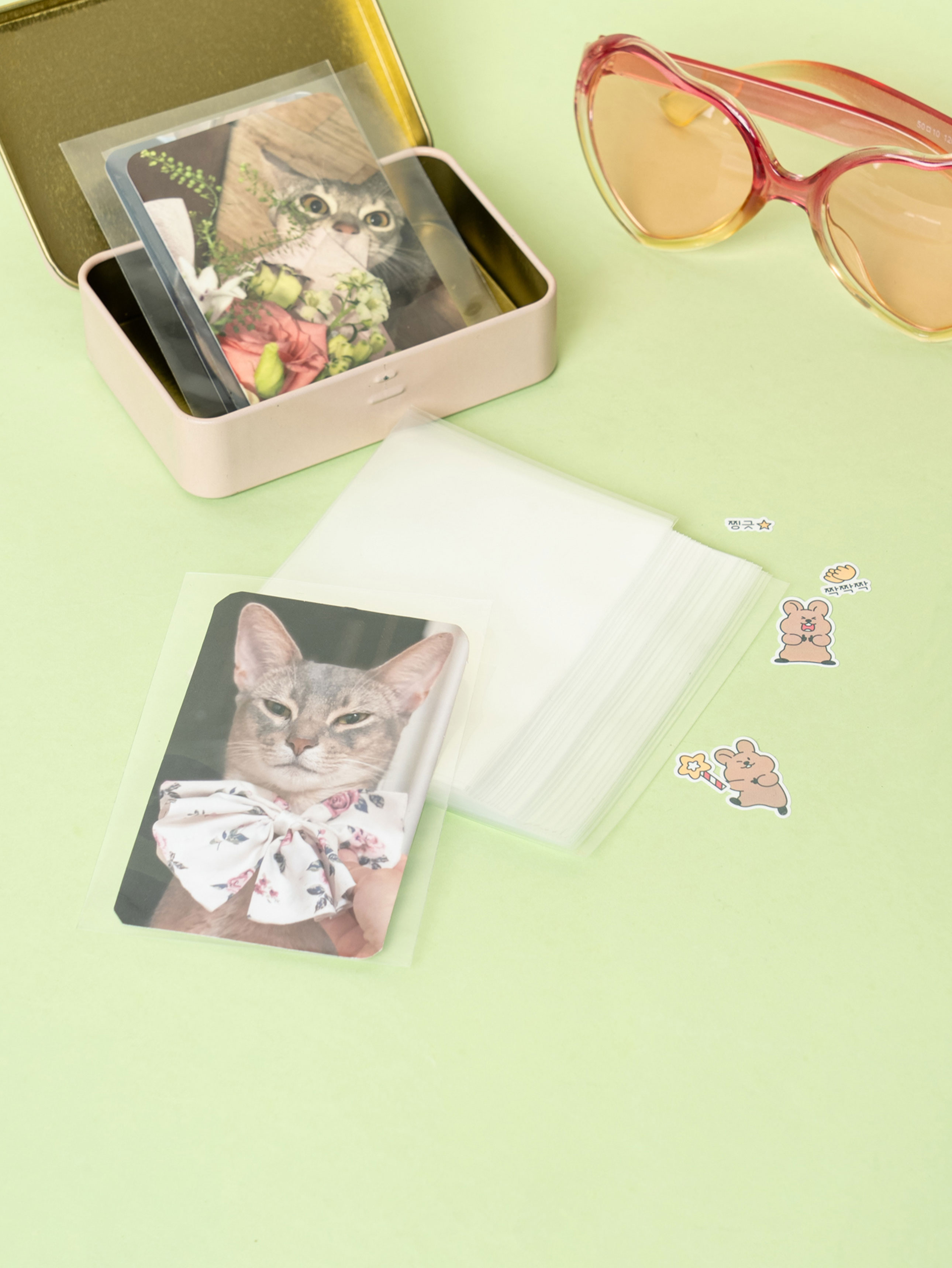 DAISO Polku_Photocard Sleeve (transparent/40 sheets)