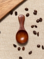 DAISO Natural Lacquer Wood Mini Spoon