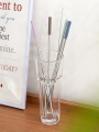 DAISO All-Stainless Steel Basic Straw & Cleaning Brush (5P/SET) DAISO All-Stainless Steel Basic Straw & Cleaning Brush (5P/SET)