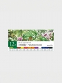 DAISO Watercolor paints (12 colors) DAISO Watercolor paints (12 colors)