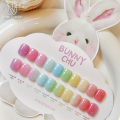 Yogurt Nail Bunny Chu Syrup Gel Nail 10 Colors Set