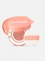 DAISO IPKN Personal Tone Cushion Blusher(Nude Bear)