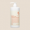 CH6 Greenol Herb Aloforthya Treatment White Citrus 1000ml