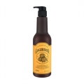 CH6 Gingerbeer Anti-Hair Loss Scalp Shampoo 500ml