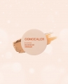 DAISO KLAVUU Balancing Pot Concealer (02 Natural Beige) 5 g