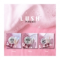 Lush Powder SET (Berry/Coral/Honey)