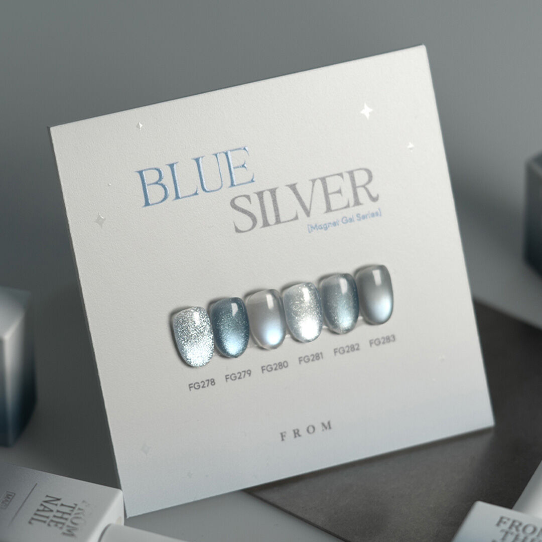 FROM THE NAIL Blue Silver Magnetic Gel 6 Colors Set {10ml × 6pcs}