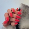 BONNIEBEE NAIL Fluffy White Sugar Powder 10g