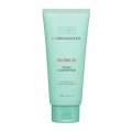 BRINGGREEN Tea Tree Cica Trouble Cleansing Foam 300ml