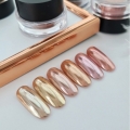 BONNIEBEE NAIL Ash Gold Powder Set (6 Types) 3g