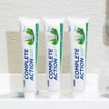 DAISO 2080 Complete Action Toothpaste Herb Mint 125g × 3pcs
