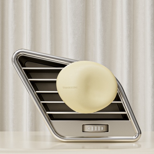 TAMBURINS Car Diffuser Mini 4g (4 Types)