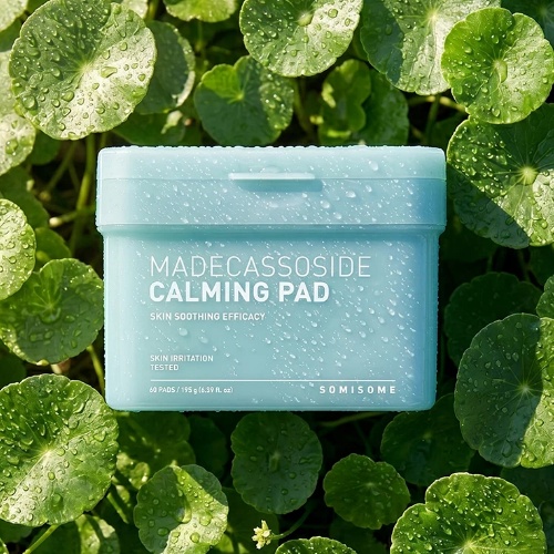 DAISO SOMISOM Madecassoside Calming Pad 60 Pads / 195g
