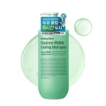 Healing Bird TeaTree-PDRN Cooling Shampoo 1000ml
