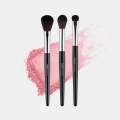 DAISO Palette17 Blusher & Highlighter Brush Set 3pcs