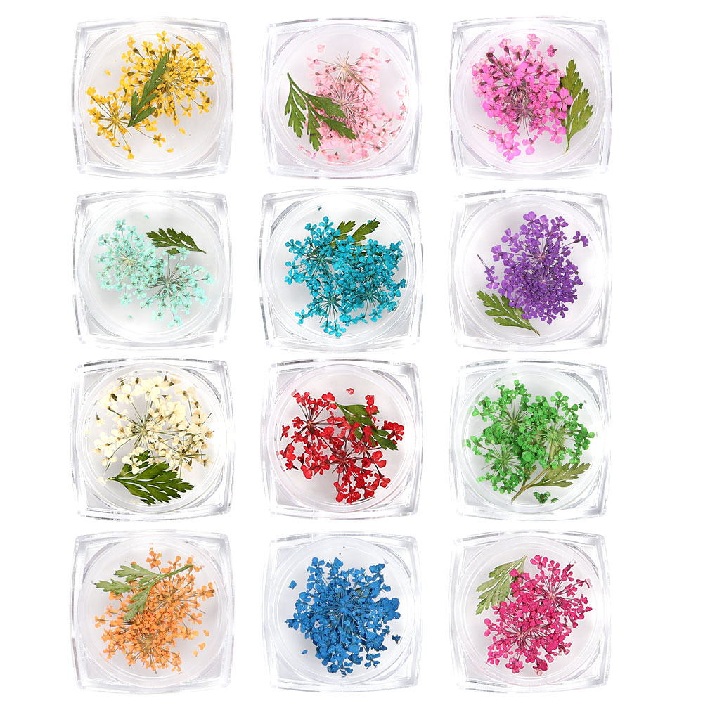 JelloJello Real Flower Glitter Art Nail Dried Flower 12-Piece Set