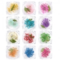 JelloJello Real Flower Glitter Art Nail Dried Flower 12-Piece Set